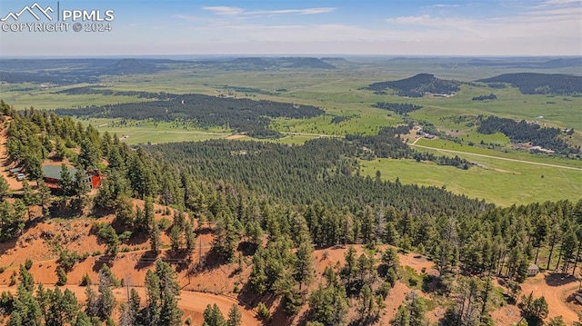 13464 Deer Ridge Way, Larkspur CO, 80118 land for sale