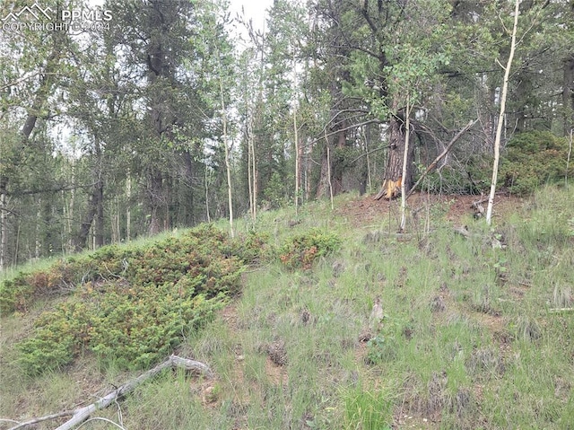 2455 Yorktown Rd, Cripple Creek CO, 80813 land for sale