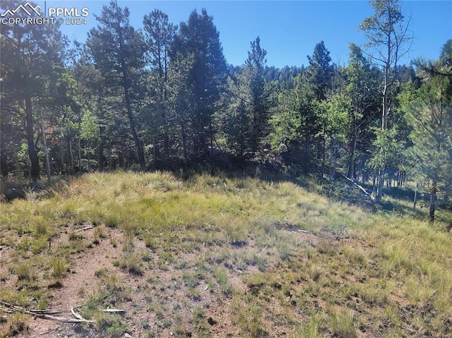 Listing photo 2 for 3168 N Mountain Estates Rd, Florissant CO 80816