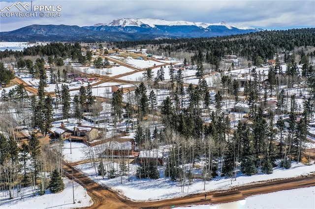 view of snowy yard