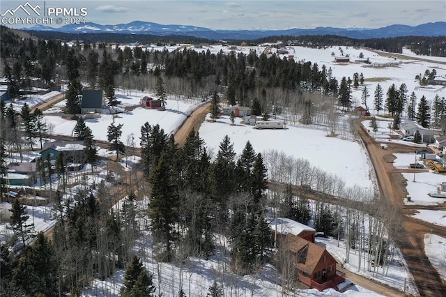 snowy aerial view featuring a mountain view