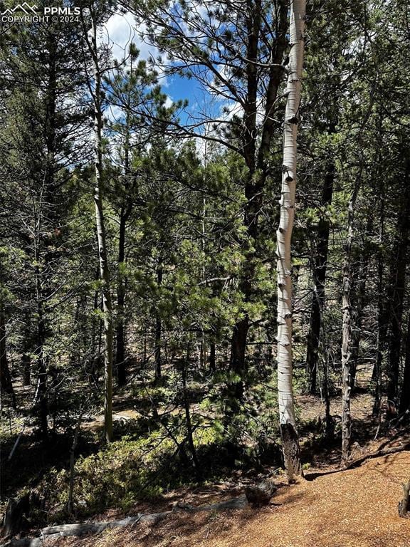 703 Horseshoe Dr, Divide CO, 80814 land for sale