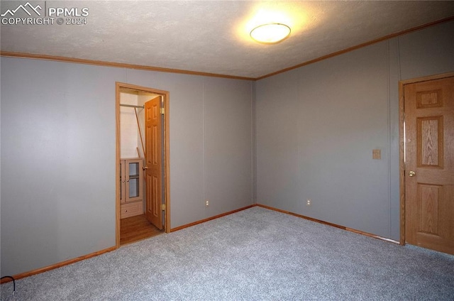 carpeted spare room with ornamental molding and a textured ceiling