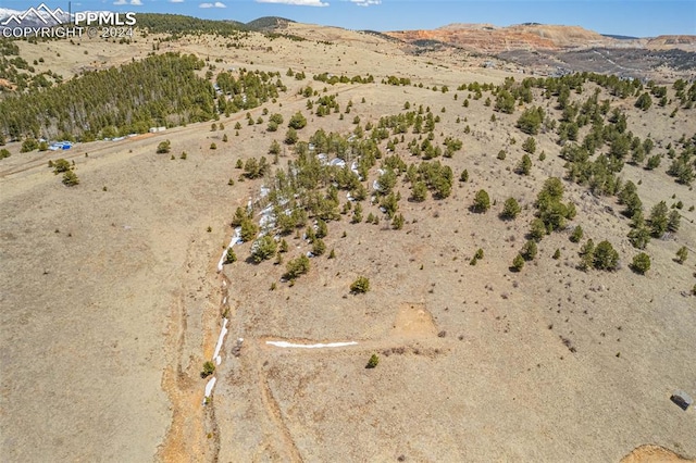 1538 County Road 1, Cripple Creek CO, 80813 land for sale