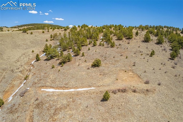 Listing photo 3 for 1538 County Road 1, Cripple Creek CO 80813