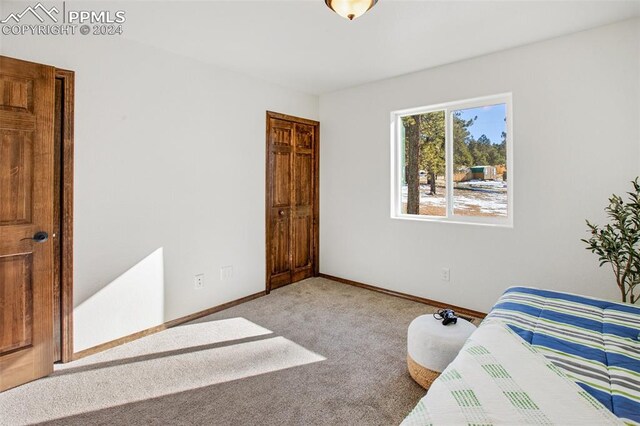 bathroom featuring vanity and hardwood / wood-style flooring