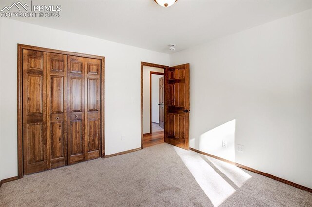 empty room featuring carpet floors