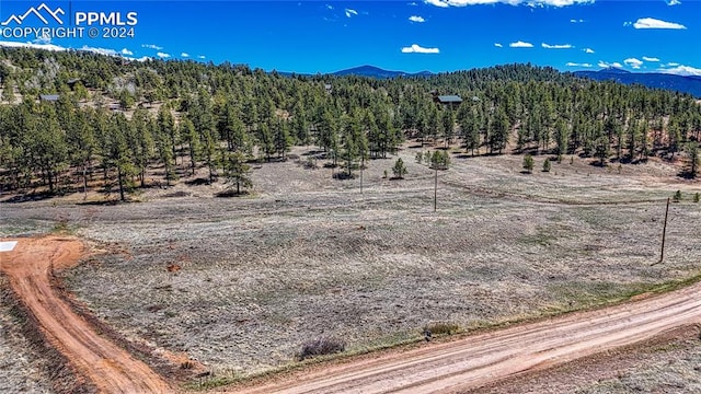 150 High Pasture Rd, Florissant CO, 80816 land for sale