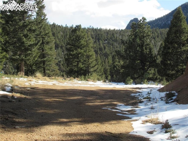 113 Steep Rd, Manitou Springs CO, 80829 land for sale