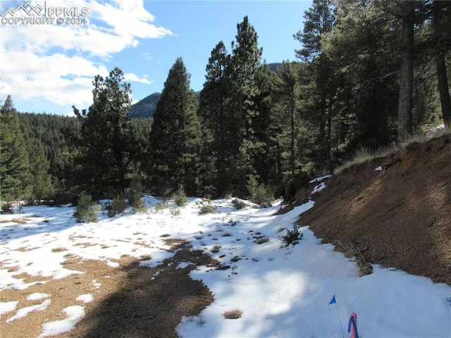 Listing photo 2 for 113 Steep Rd, Manitou Springs CO 80829