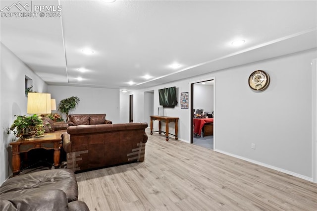 living room featuring light hardwood / wood-style flooring