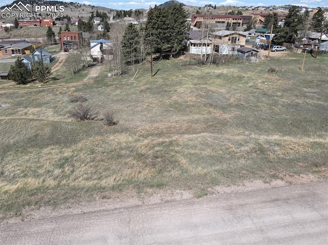 Listing photo 2 for Aspen St, Cripple Creek CO 80813