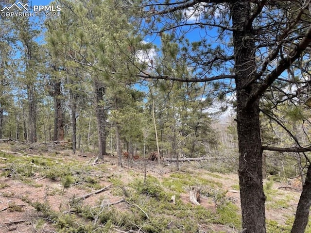 44 E Valley Ln, Woodland Park CO, 80863 land for sale