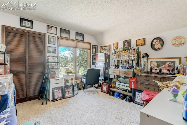 carpeted home office featuring vaulted ceiling and a textured ceiling