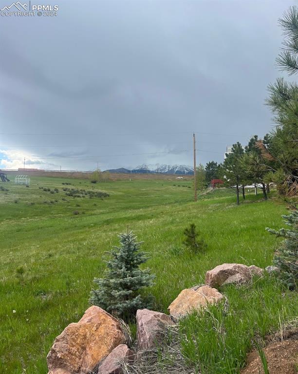 view of yard featuring a rural view