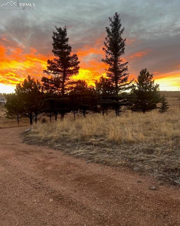 nature at dusk with a rural view