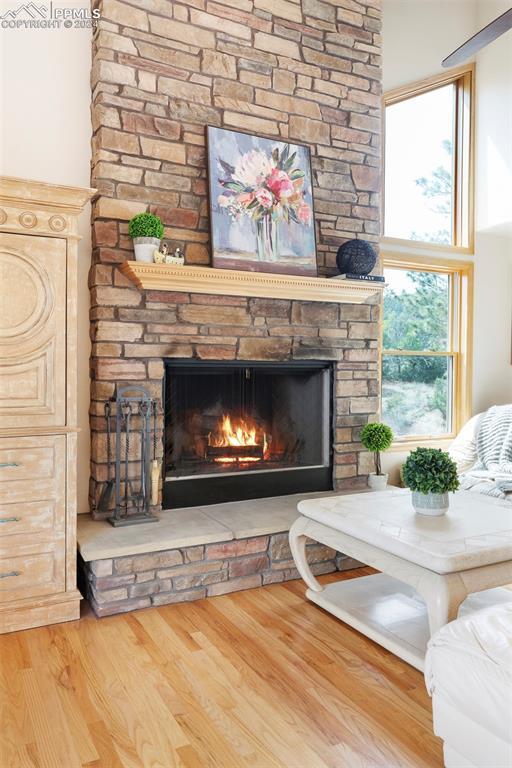 details with hardwood / wood-style floors and a fireplace