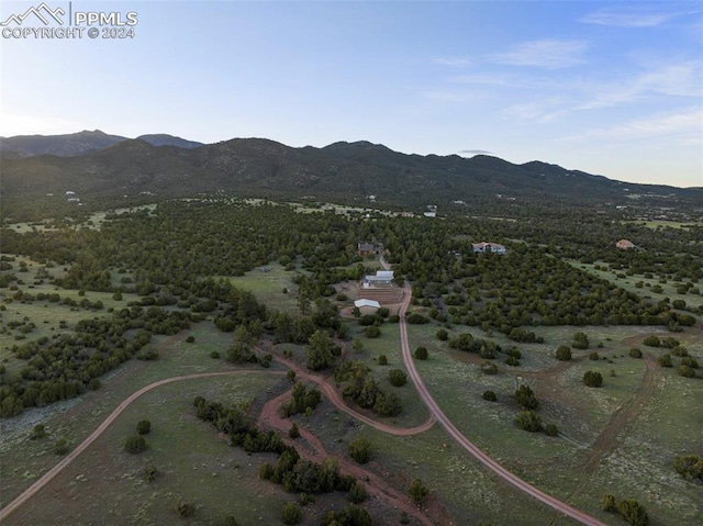 birds eye view of property featuring a mountain view