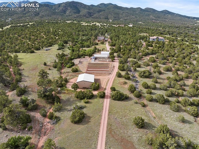 birds eye view of property with a mountain view