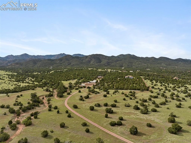 bird's eye view featuring a rural view and a mountain view