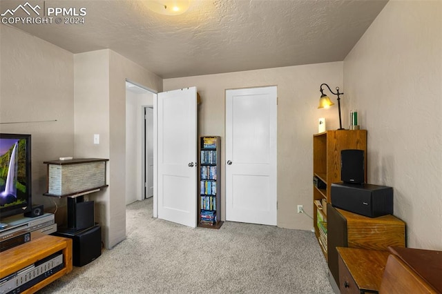 carpeted living room featuring a textured ceiling