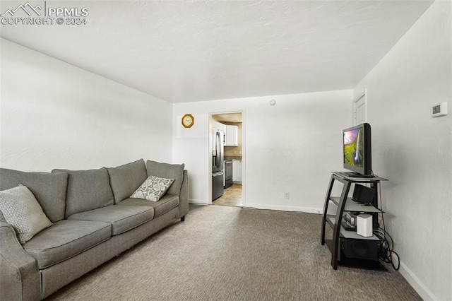 living room featuring carpet floors