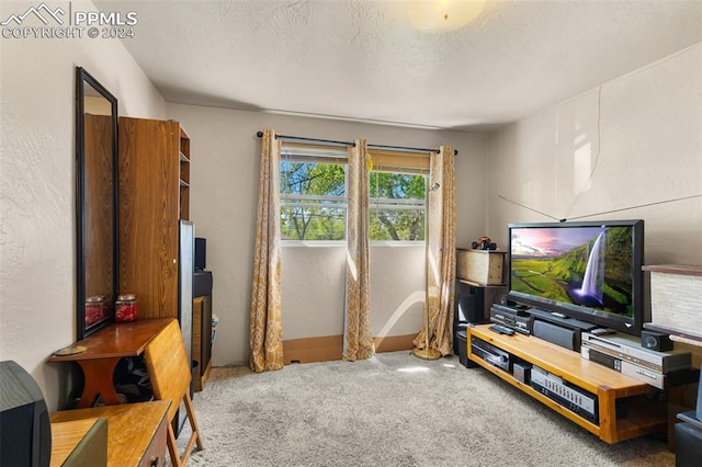 carpeted living room featuring a textured ceiling