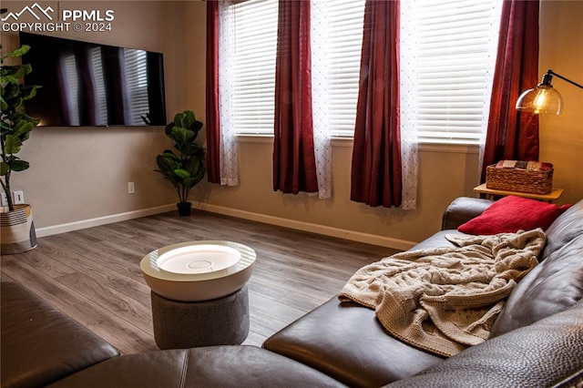 living room with plenty of natural light and hardwood / wood-style flooring