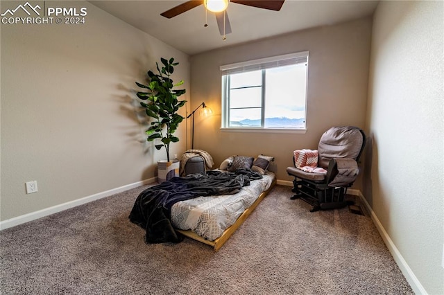 interior space featuring carpet flooring and ceiling fan