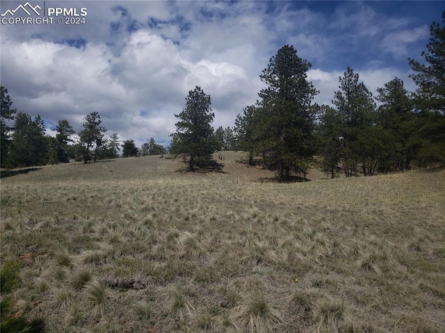 1938 S Mountain Estates Rd, Florissant, CO 80816