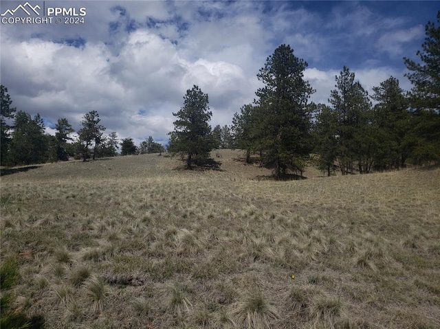 1938 S Mountain Estates Rd, Florissant CO, 80816 land for sale