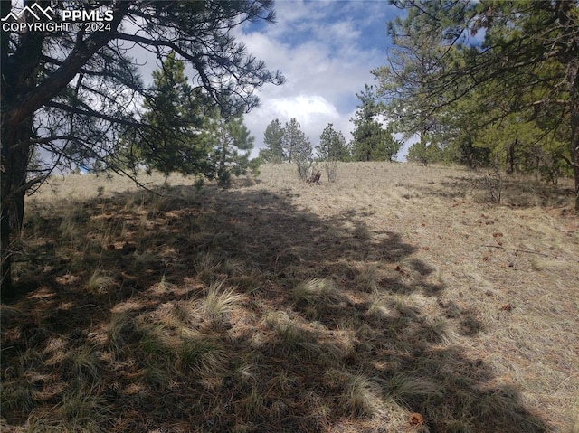 Listing photo 2 for 1938 S Mountain Estates Rd, Florissant CO 80816