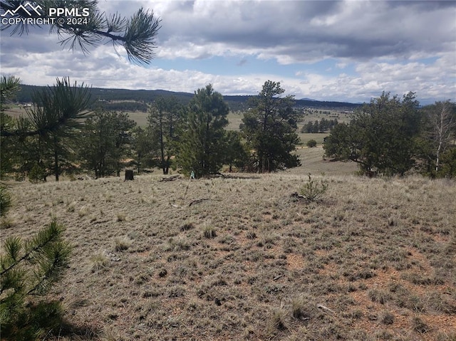 Listing photo 3 for 1938 S Mountain Estates Rd, Florissant CO 80816