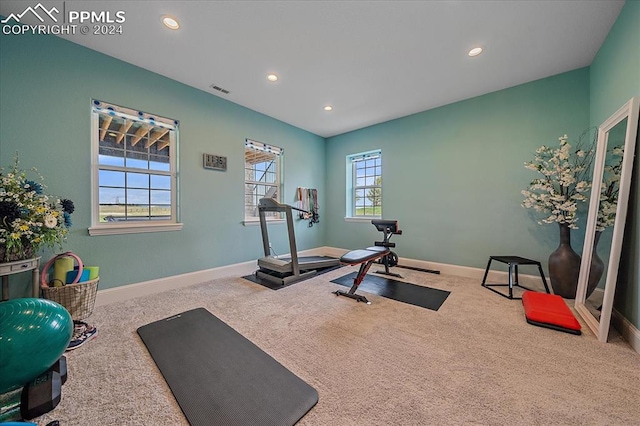 workout room featuring carpet floors