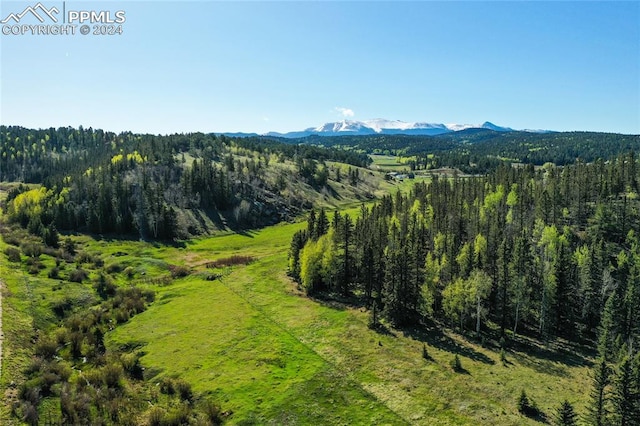 aerial view featuring a mountain view