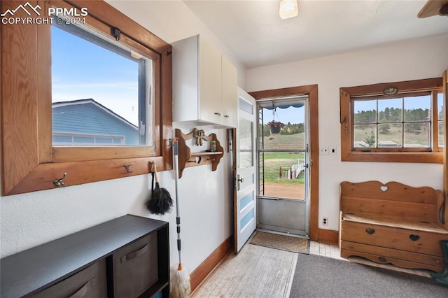 doorway to outside featuring light hardwood / wood-style flooring