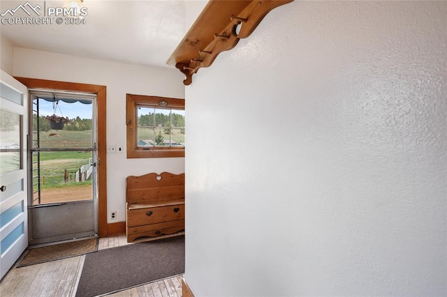 entryway featuring hardwood / wood-style flooring