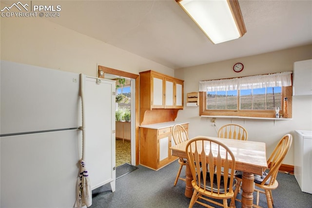 carpeted dining room featuring plenty of natural light and washer / dryer