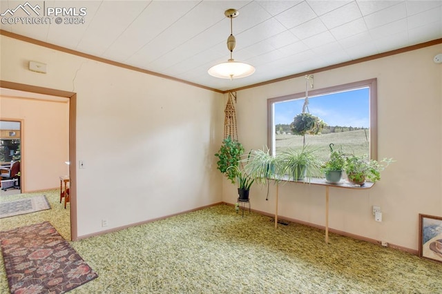 spare room featuring carpet floors