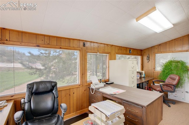 office space with light carpet, a healthy amount of sunlight, lofted ceiling, and wood walls