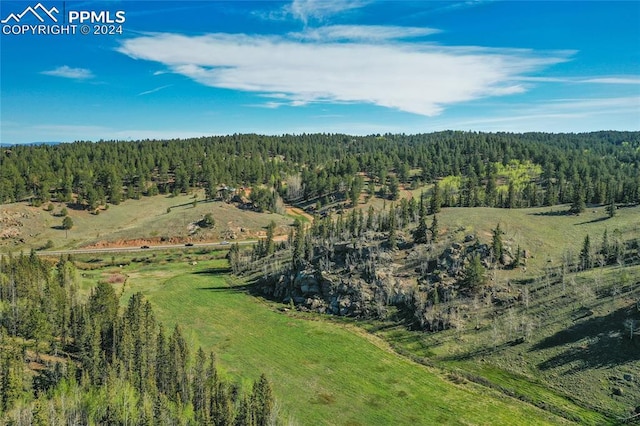 bird's eye view with a rural view