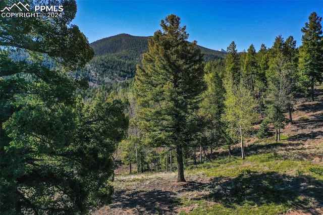 1100 Elk Rdg S, Divide CO, 80814 land for sale