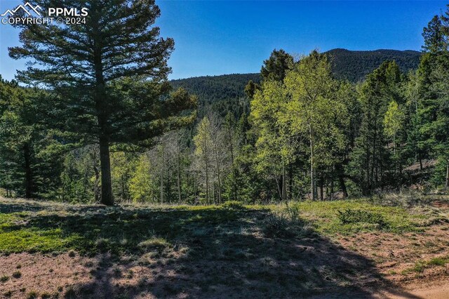 Listing photo 2 for 1100 Elk Rdg S, Divide CO 80814