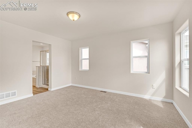 9759 Feathergrass Dr, Colorado Springs, CO 80927 - empty room featuring carpet flooring and healthy amount of natural light