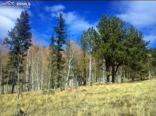 5221 County Road 100, Florissant CO, 80816 land for sale