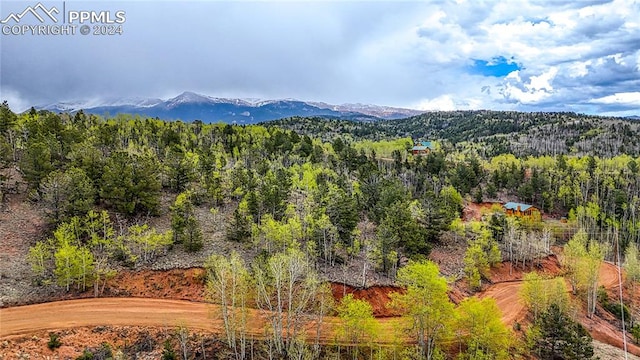 1693 Golden Cycle Cir, Cripple Creek CO, 80813 land for sale