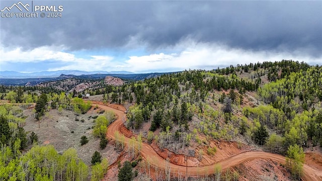 Listing photo 3 for 1693 Golden Cycle Cir, Cripple Creek CO 80813