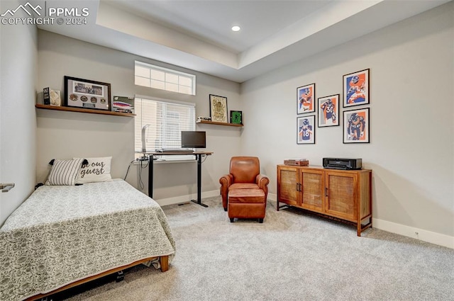 carpeted bedroom featuring a tray ceiling