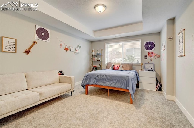 carpeted bedroom featuring a tray ceiling