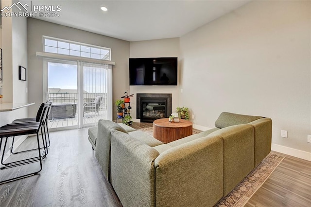 living room featuring hardwood / wood-style floors